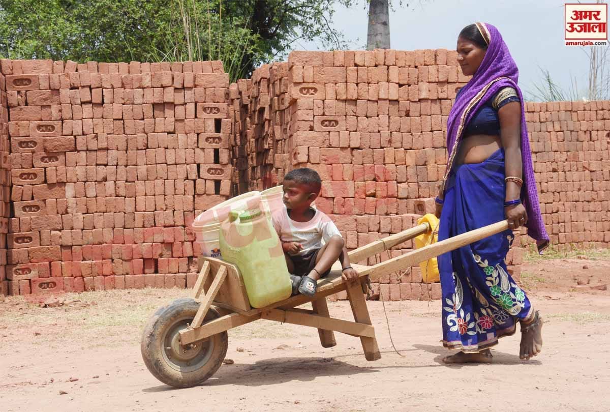 lockdown in Jammu Kashmir (J&K) news in Hindi, Women working in field along with children