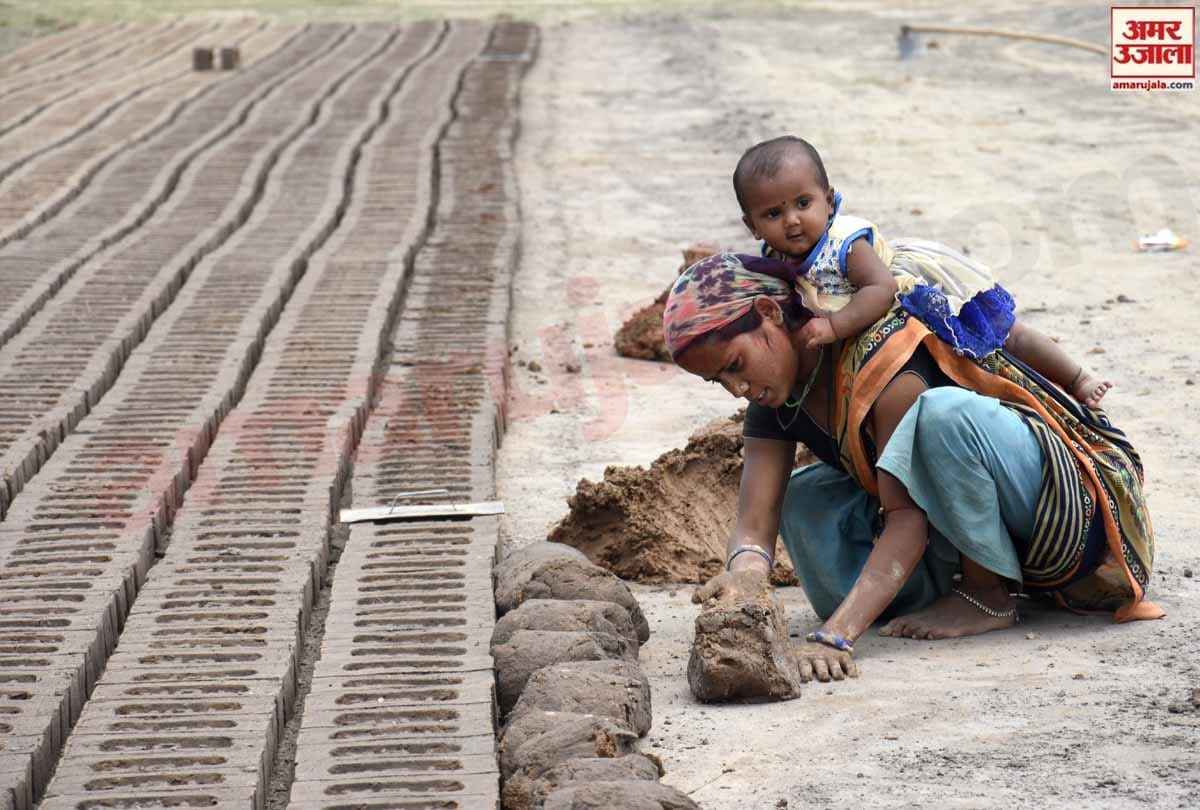 lockdown in Jammu Kashmir (J&K) news in Hindi, Women working in field along with children