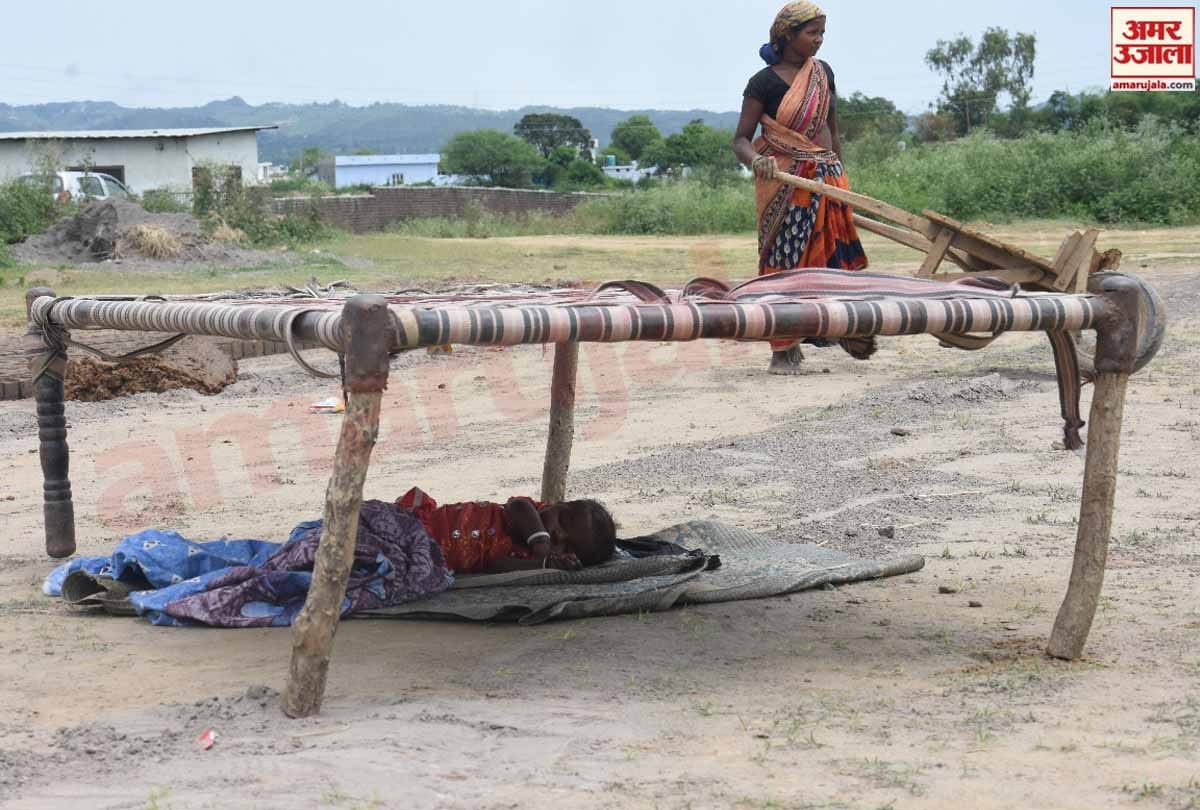 lockdown in Jammu Kashmir (J&K) news in Hindi, Women working in field along with children