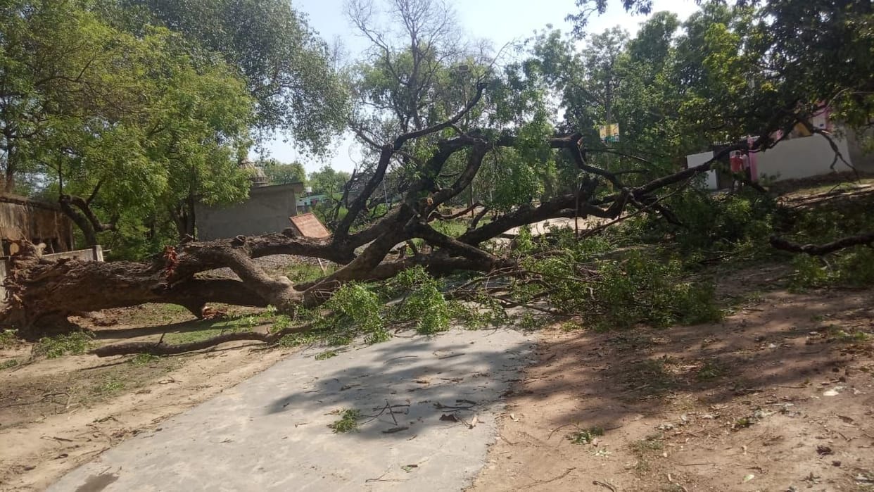 the cyclone caused havoc in the town rock uprooted trees electric poles fell from the vilage
