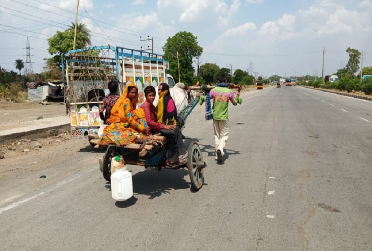 A people was seen pulling the cart with the Ox in Indore Madhya Pradesh during Lockdown
