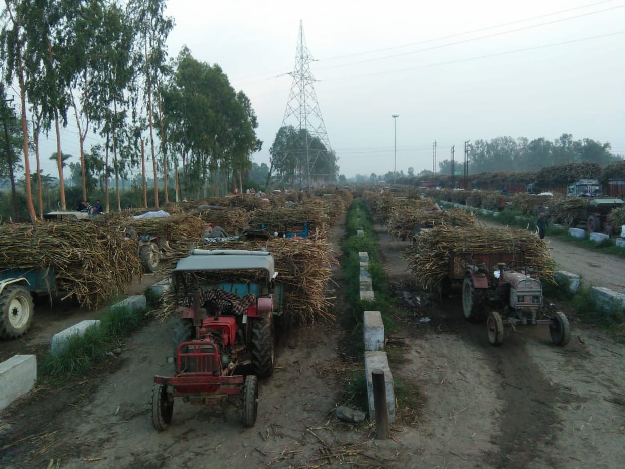 Farmers worried about sugarcane supply