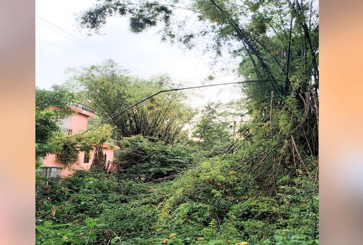 heavy rain and hailstorm warning in Himachal for two days