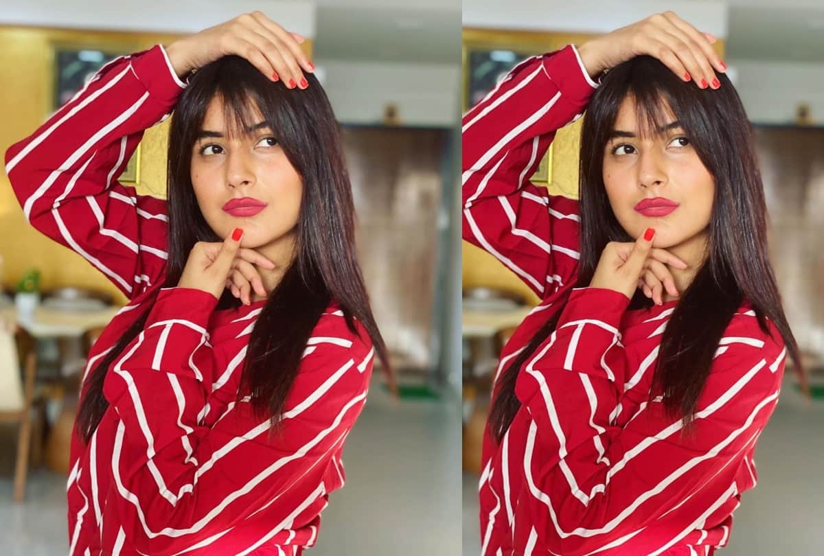 bigg boss 13 fame shehnaz gill complete look transformation in five years