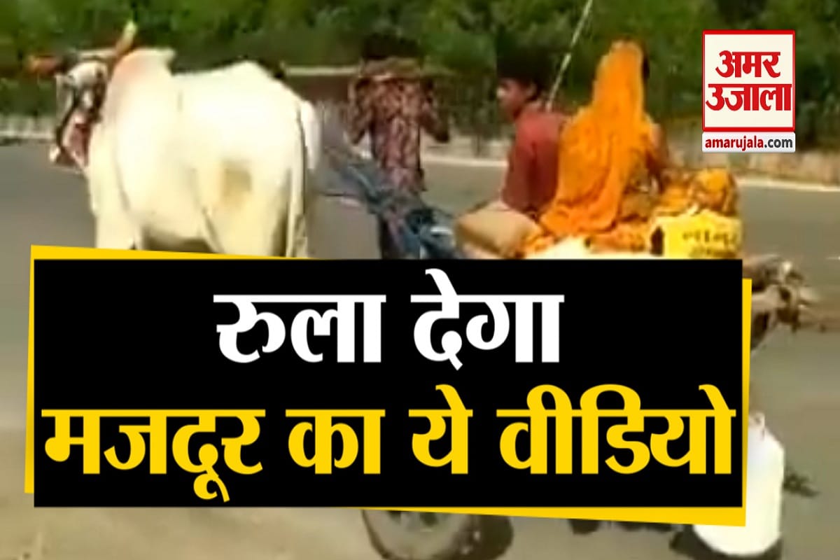 वायरल वीडियो