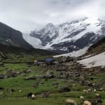 पिंडारी ग्लेशियर (सांकेतिक तस्वीर)।