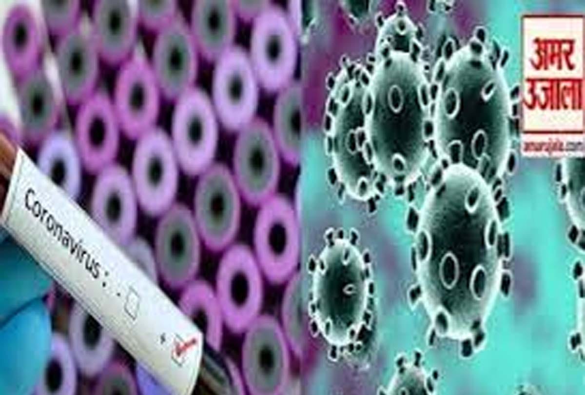 Coronavirus in kanpur: three more corona patients found in Kanpur, 316 infected