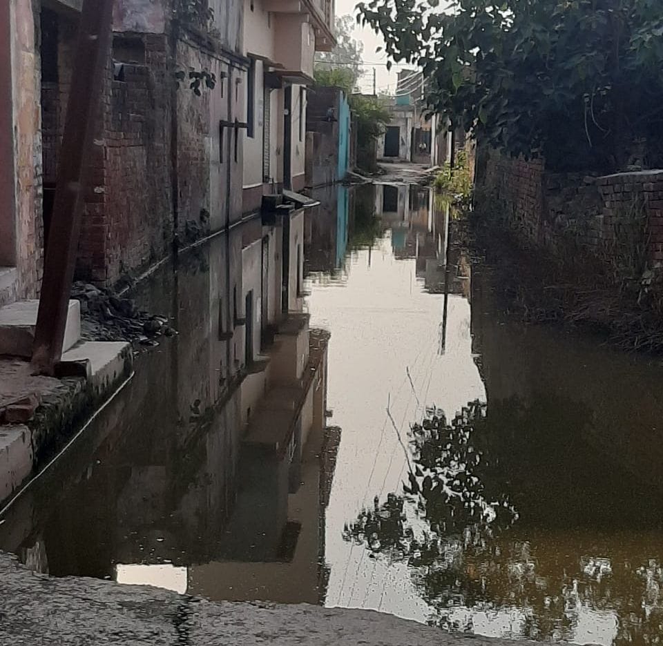 Ponds occupied by roads filled with water