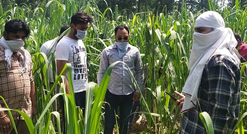 Information about cow slaughter caused panic in Bhurahedi