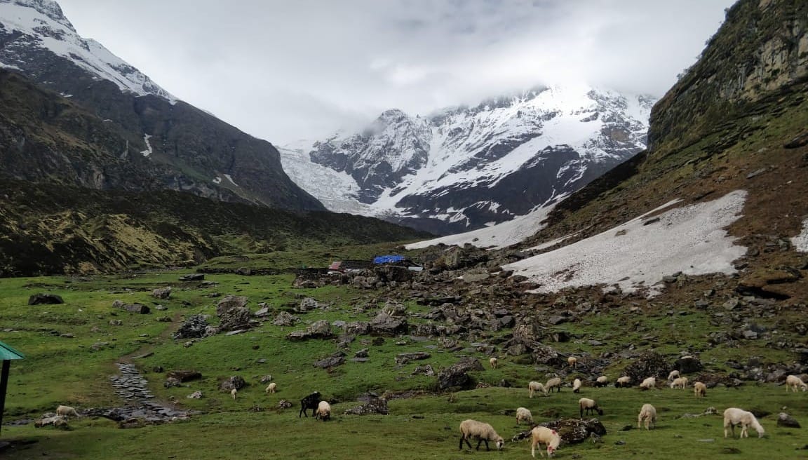 Himalaya Crisis: Pindari Glacier will make Kumaon drying rivers full of water