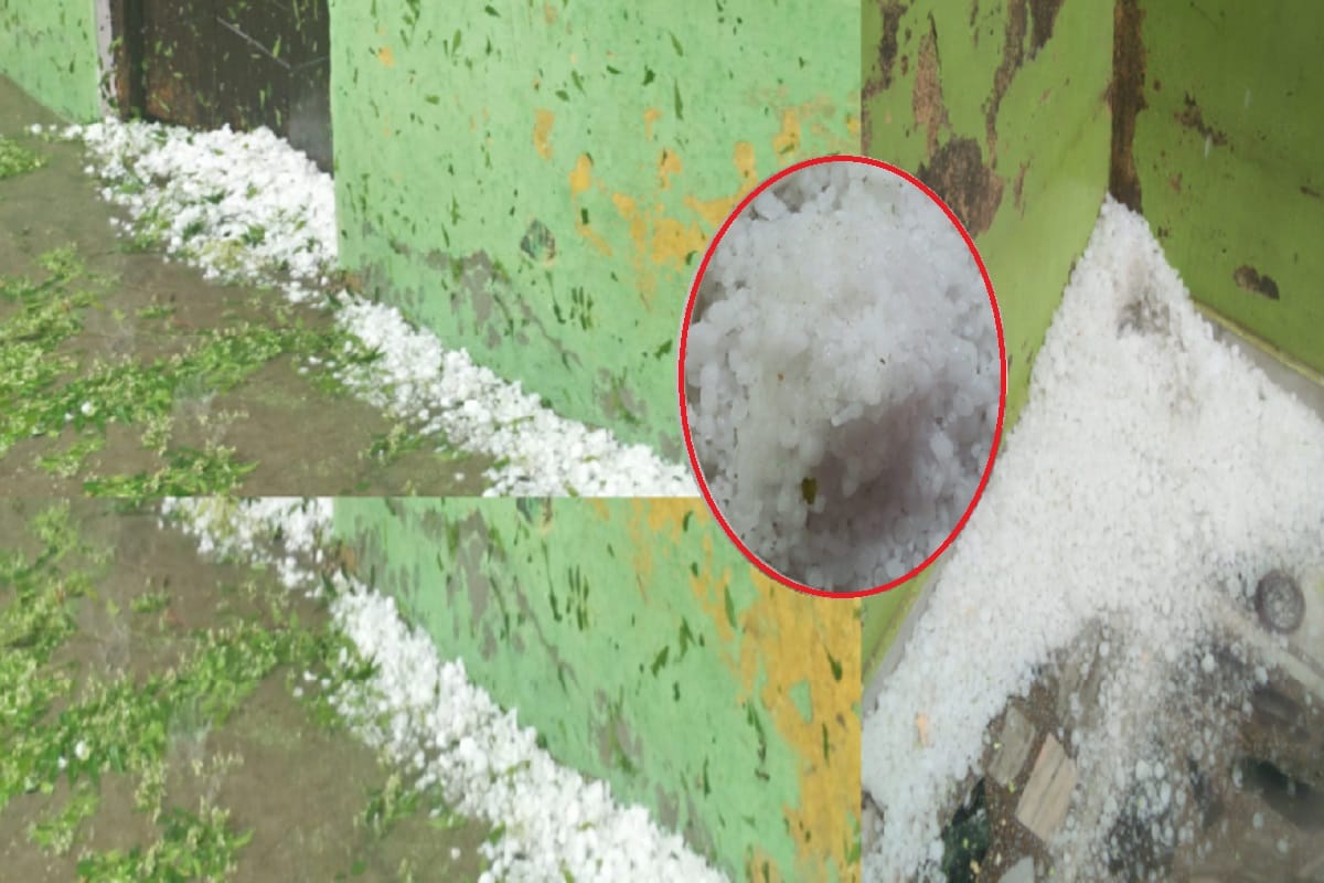 There was hailstorm with rain in Saharanpur and heavy losses of farmers