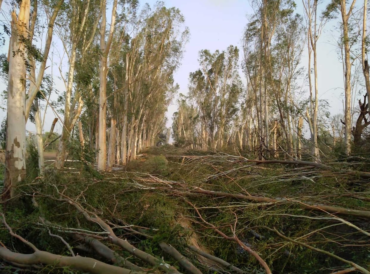 Half an hour after the temperature crossed 40, there was 6.2 mm of rain with heavy thunderstorm, hail also fell.