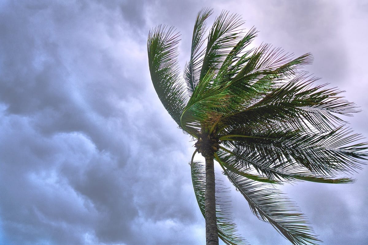 Cyclone Tauktae: NDRF increases relief and rescue teams, here is all you need to know