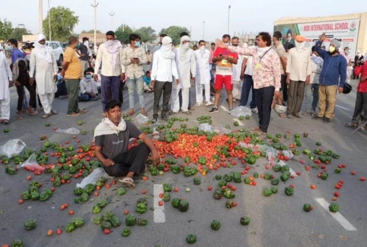Due to non-entry into the vegetable market, the farmers and the stockmen blocked the road by dropping vegetables on the road