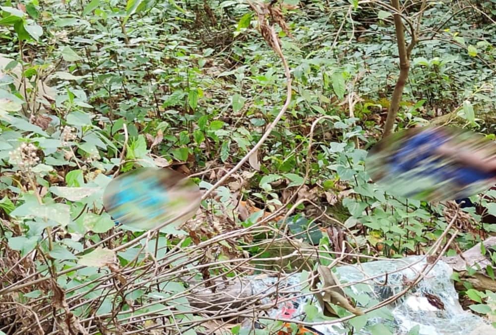Uttarakhand Accident News: Car Terrific Accident during fell into ditch in tanakpur Champawat Highway, Three Killed, Photos