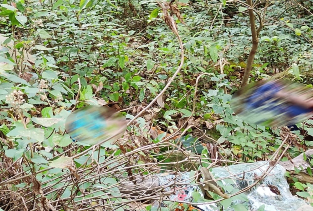 Uttarakhand Accident News: Car Terrific Accident during fell into ditch in tanakpur Champawat Highway, Three Killed, Photos