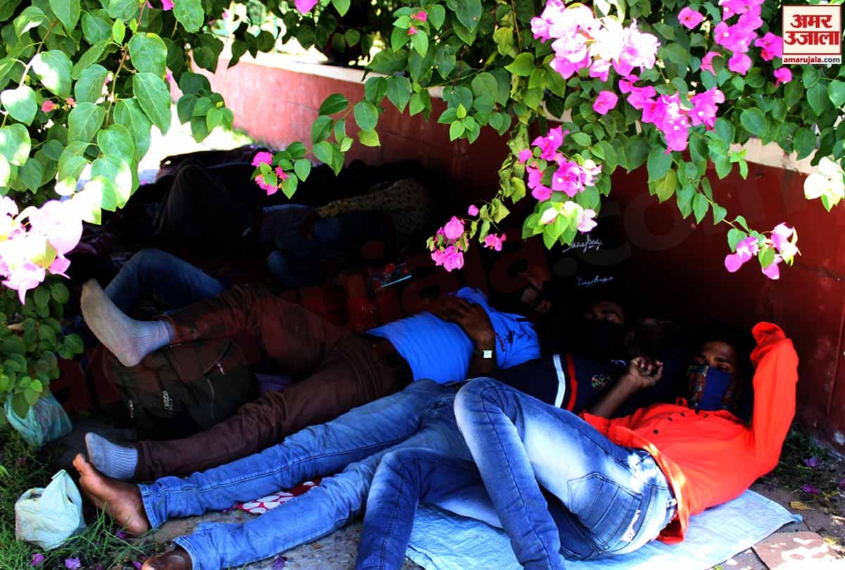 lockdown in Jammu Kashmir (J&K) news in Hindi, agony of worker who trapped in lockdown