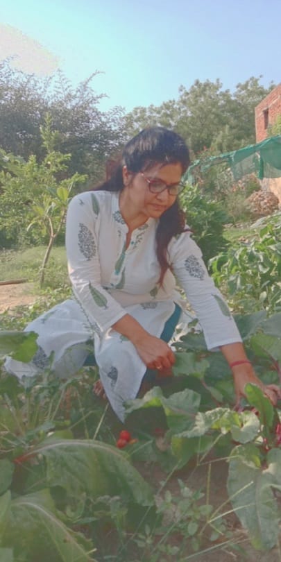 noida people are doing gardening and make her home beauty and greenery while lockdown