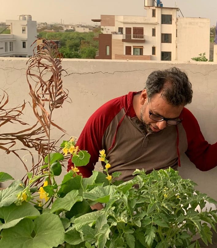noida people are doing gardening and make her home beauty and greenery while lockdown