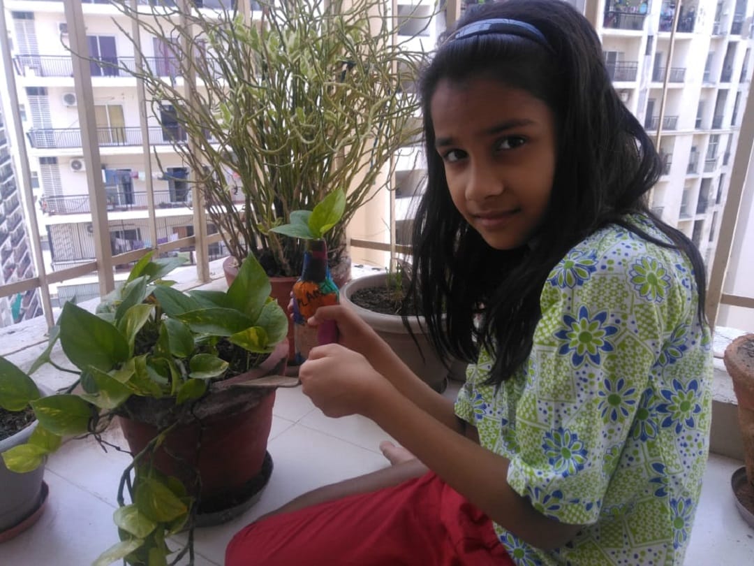 noida people are doing gardening and make her home beauty and greenery while lockdown