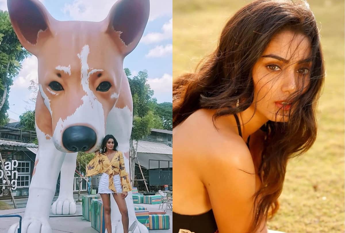 sana makbul had face surgery due to dog bite shared reveal on social media