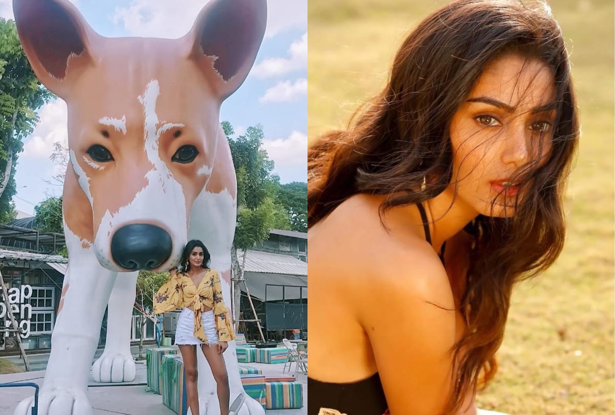 sana makbul had face surgery due to dog bite shared reveal on social media