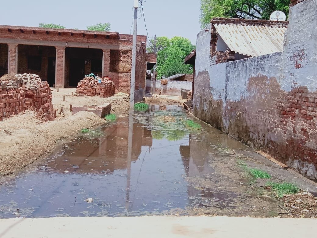 people capture pond land