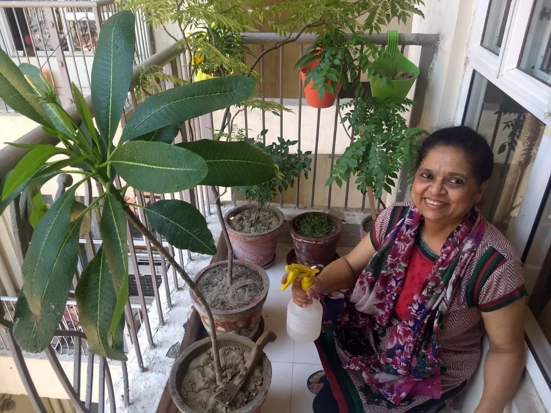 noida people are doing gardening and make her home beauty and greenery while lockdown