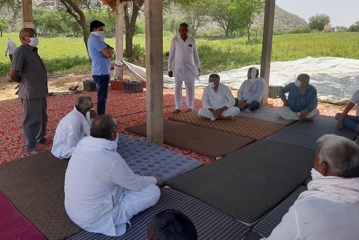 Farmers losses in tomato crop in lockdown.