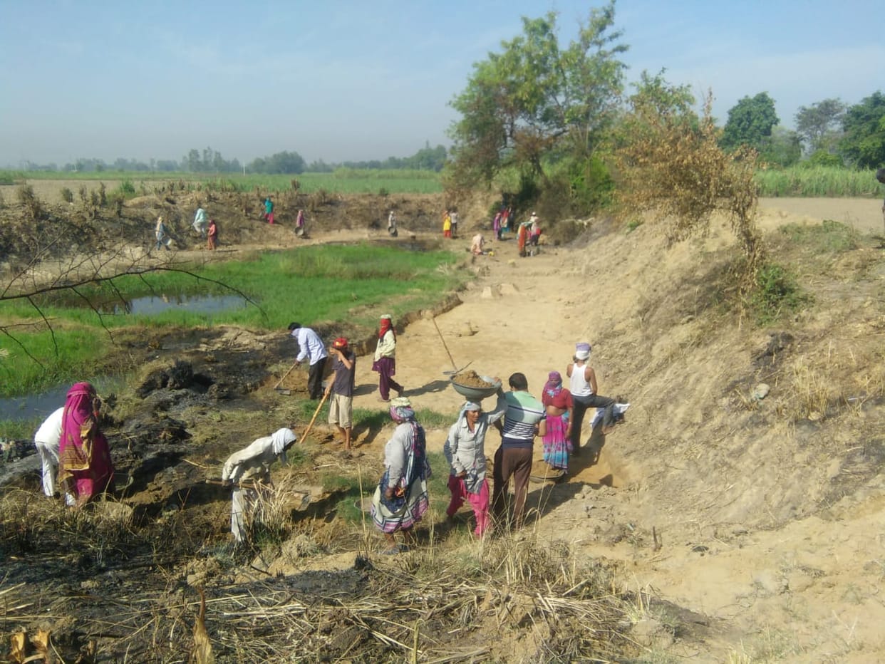 MNREGA workers started work in the pond