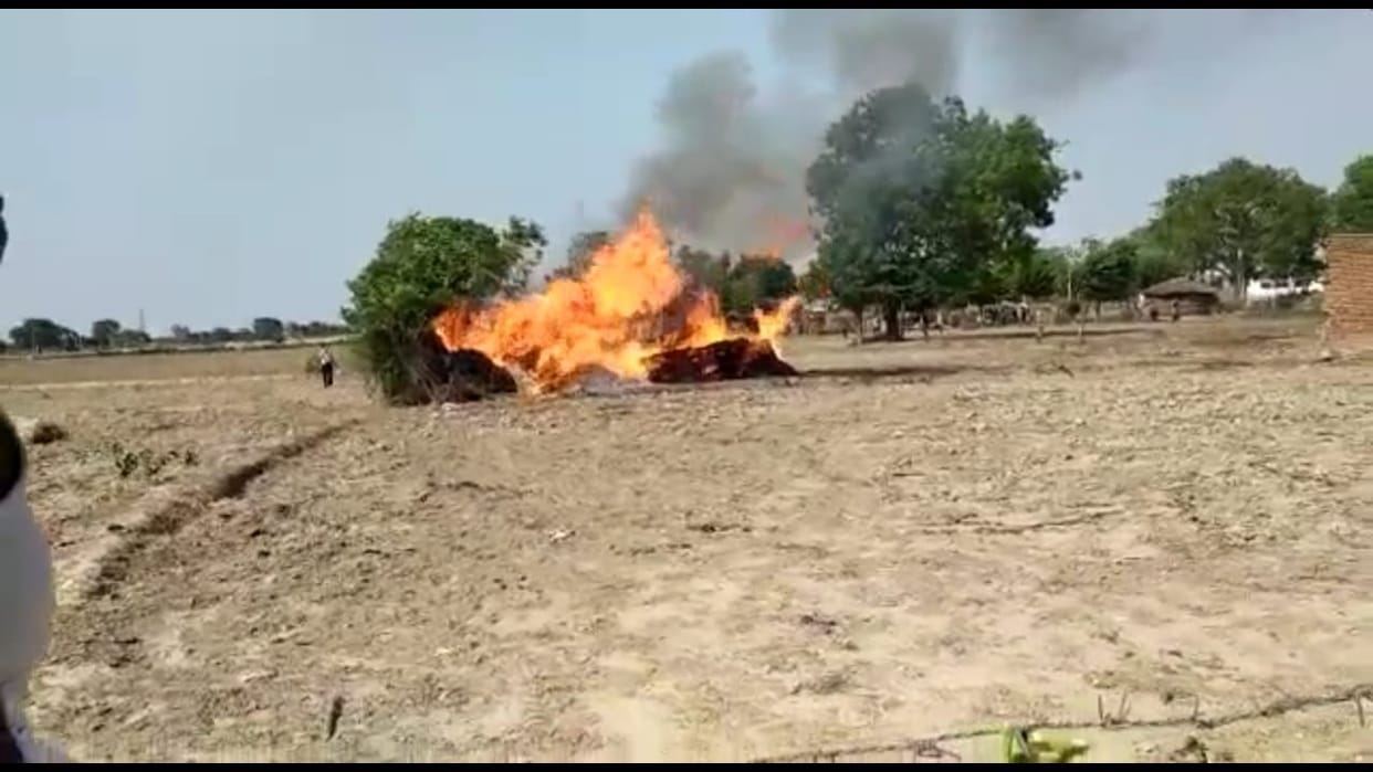 fire, accident, burn, animal, food, mathura