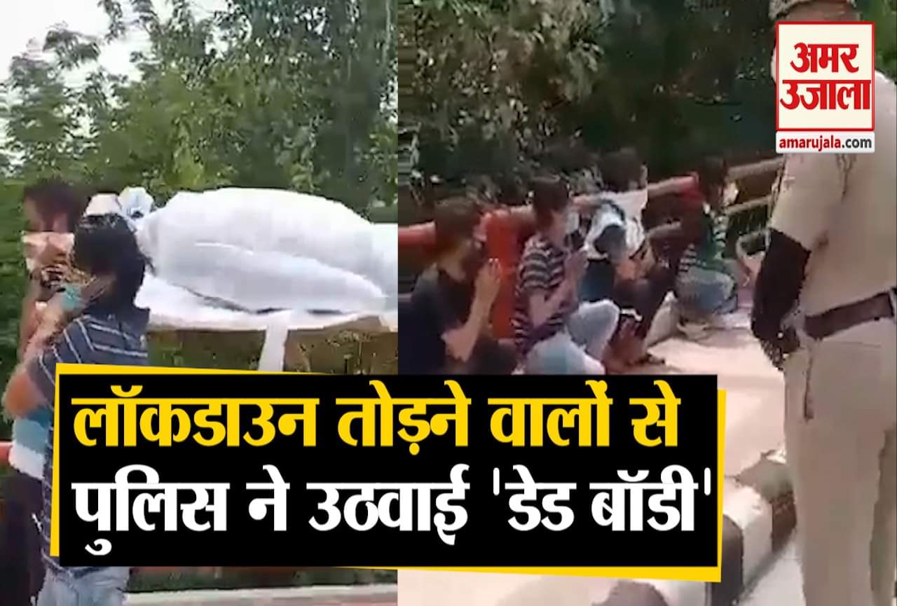 वायरल वीडियो