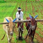सांकेतिक तस्वीर