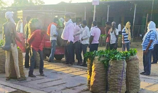 social distancing at mandi