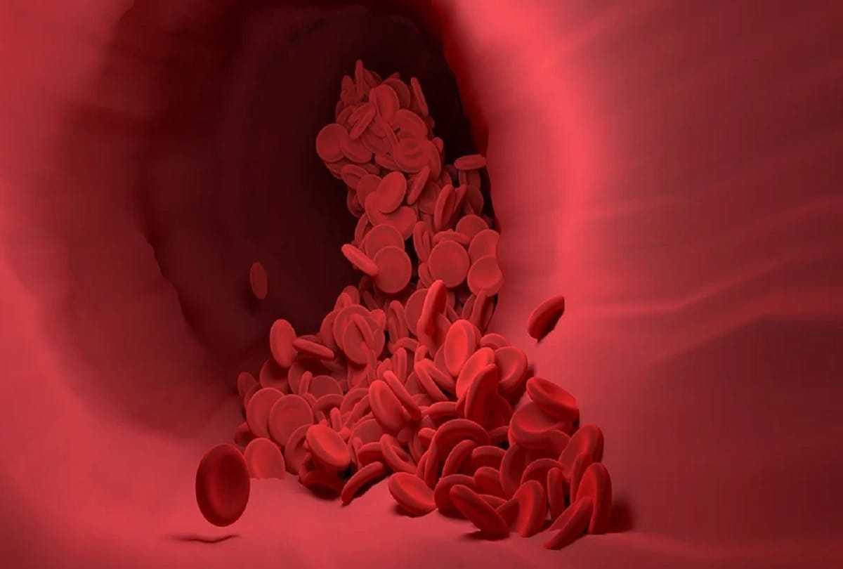 What to eat that our body can beat the virus