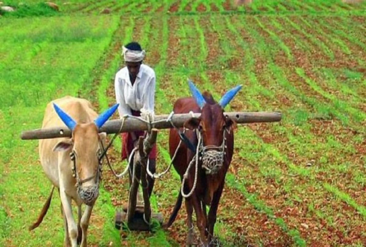new farmer agriculture bill 2020 importance significance and drawbacks farmers condition in india