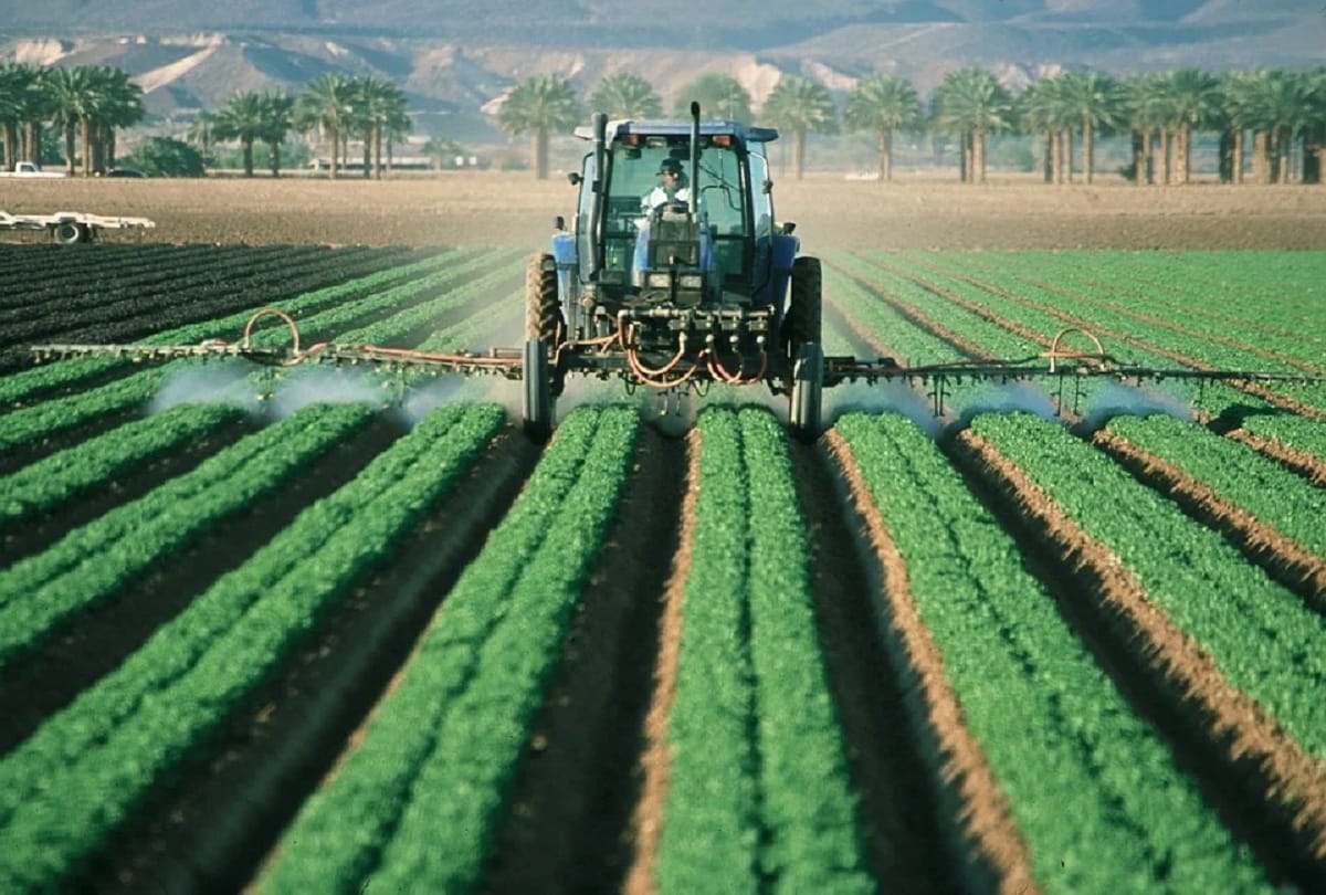 prayagraj news: drip irrigation in farming