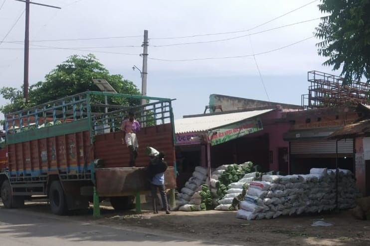 Vegetable producer farmers destroyed in lockdown