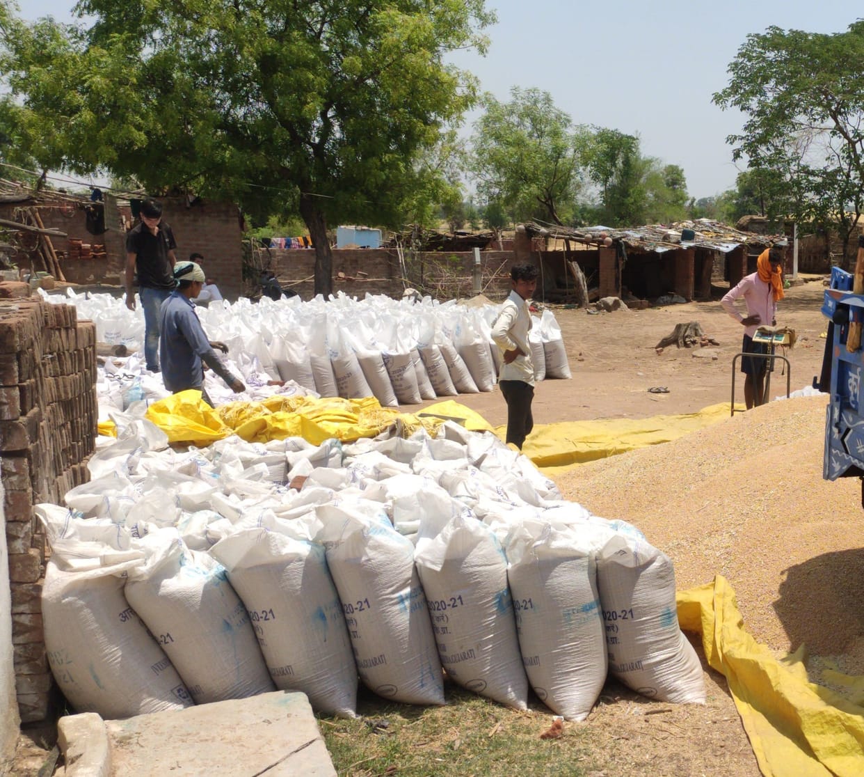 farmers are in trouble, no lifting of wheat