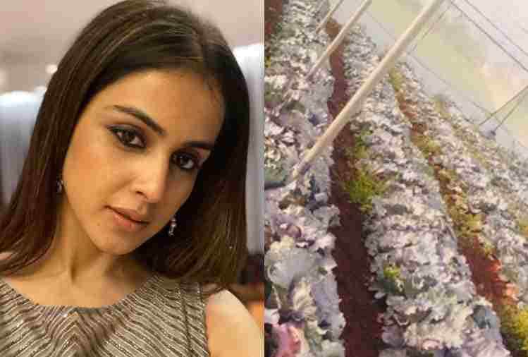 Genelia D'Souza share photos and told how to turn vegetarian