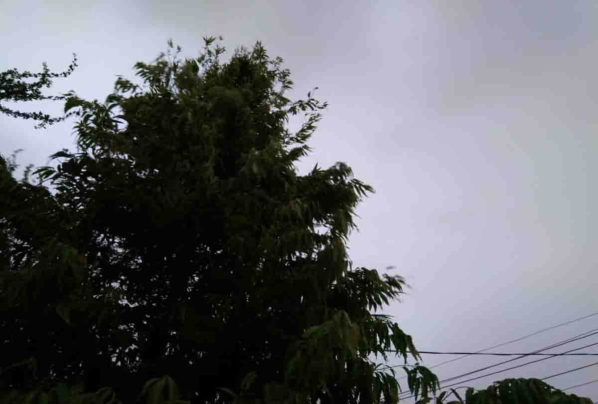 UP: Cyclone Amfan's knock, weather change
