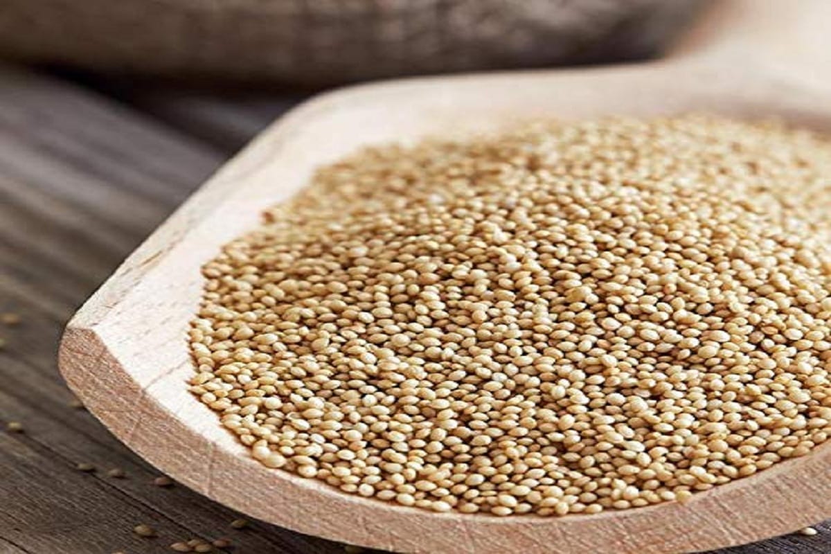 5 super food perfect for vegetarian full of protein