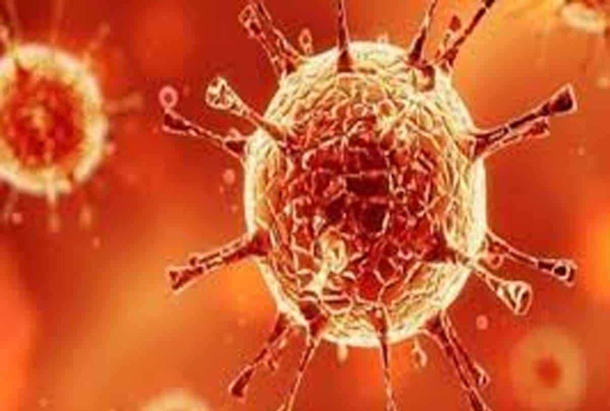 Corona Virus Update News in Hindi, Corona patients have decreased due to complete lockdown in Meerut