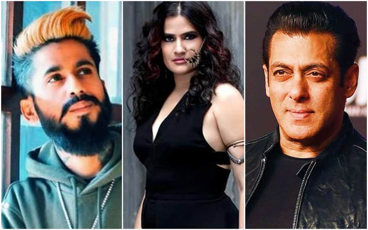 Sona Mohapatra s taken a dig at Salman Khan And Faizal Siddiqui Acid Attack Video on TikTok