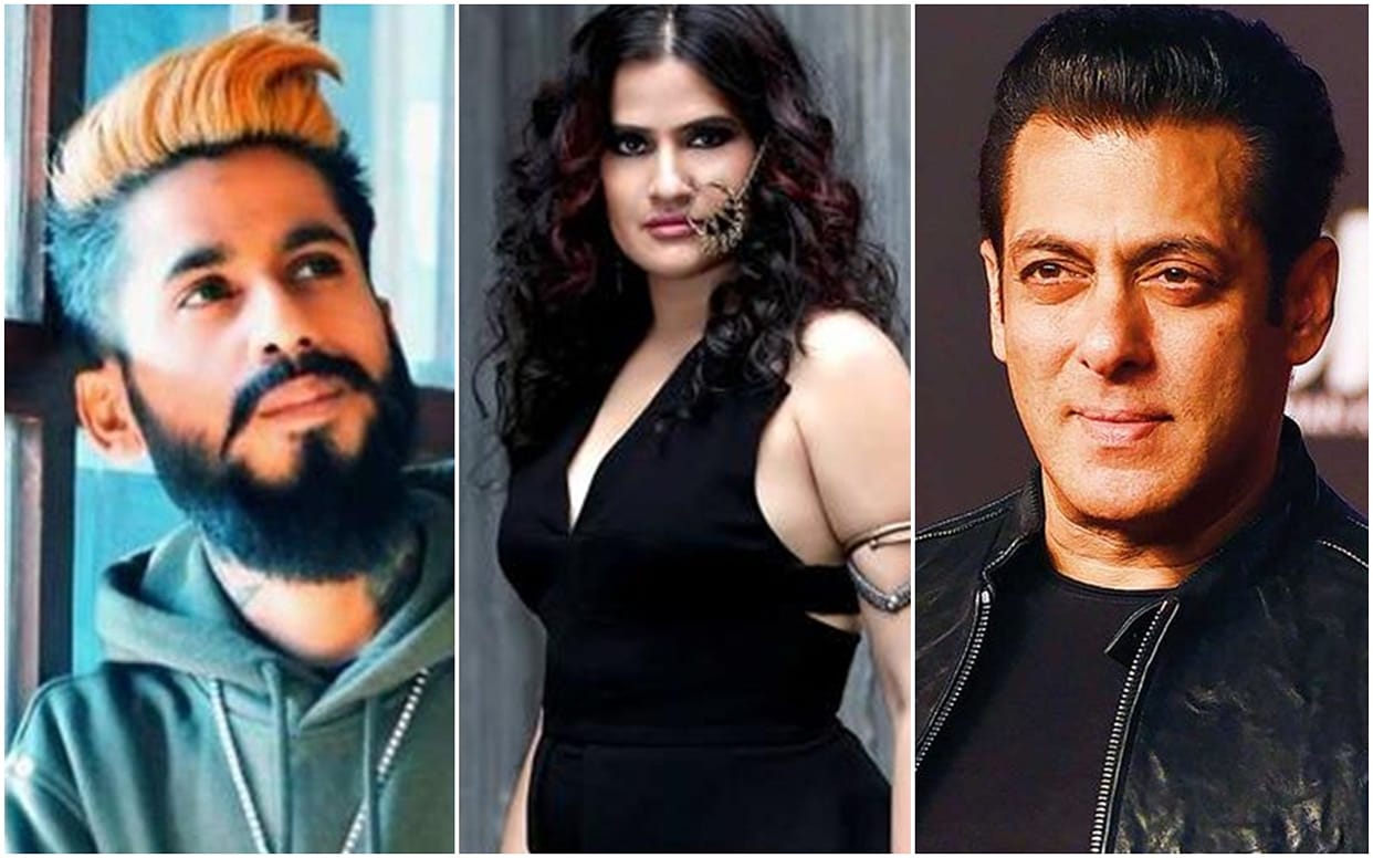 Sona Mohapatra s taken a dig at Salman Khan And Faizal Siddiqui Acid Attack Video on TikTok
