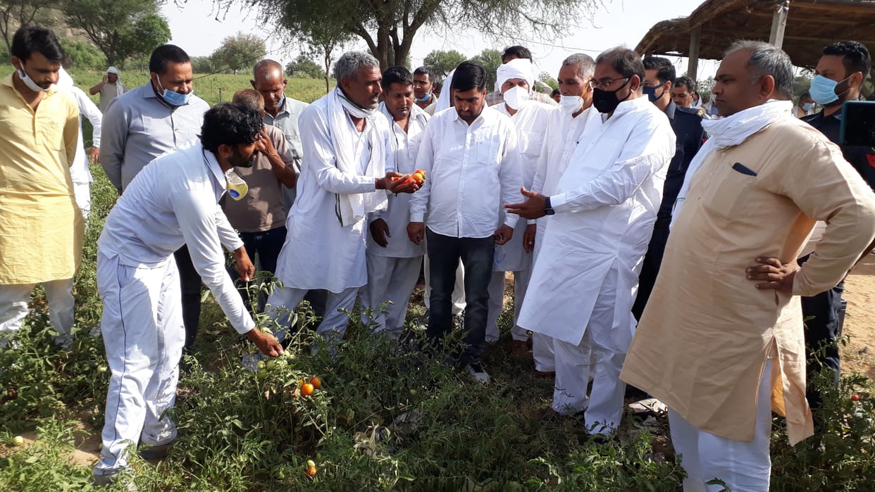 Abay Chautala arrives at the strike of tomato grower farmers.
