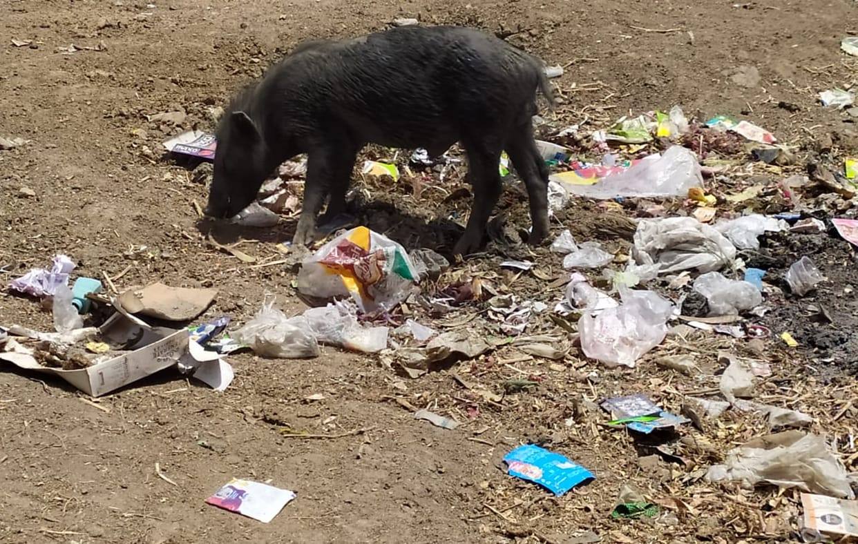 drainage crisis at patura mata temple
