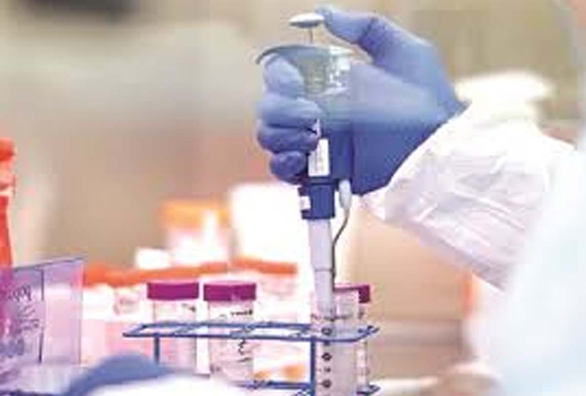 Covid-19 positive cases in Haryana, Coronavirus outbreak in Haryana, latest news