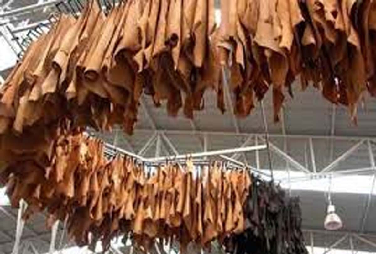 Kanpur: Lockdown caused Rs 200 crore loss to leather traders