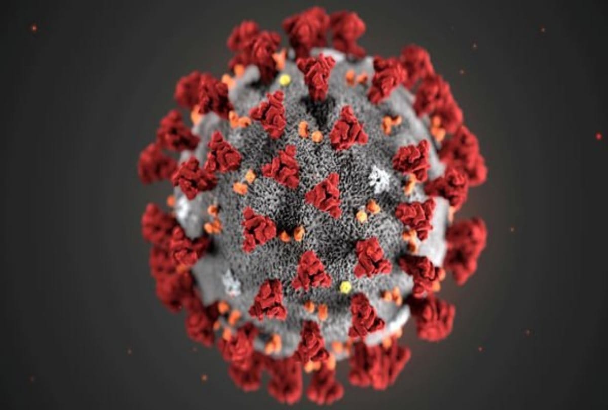coronavirus is killing far more young people, Brazil covid 19 death toll Data raised concern